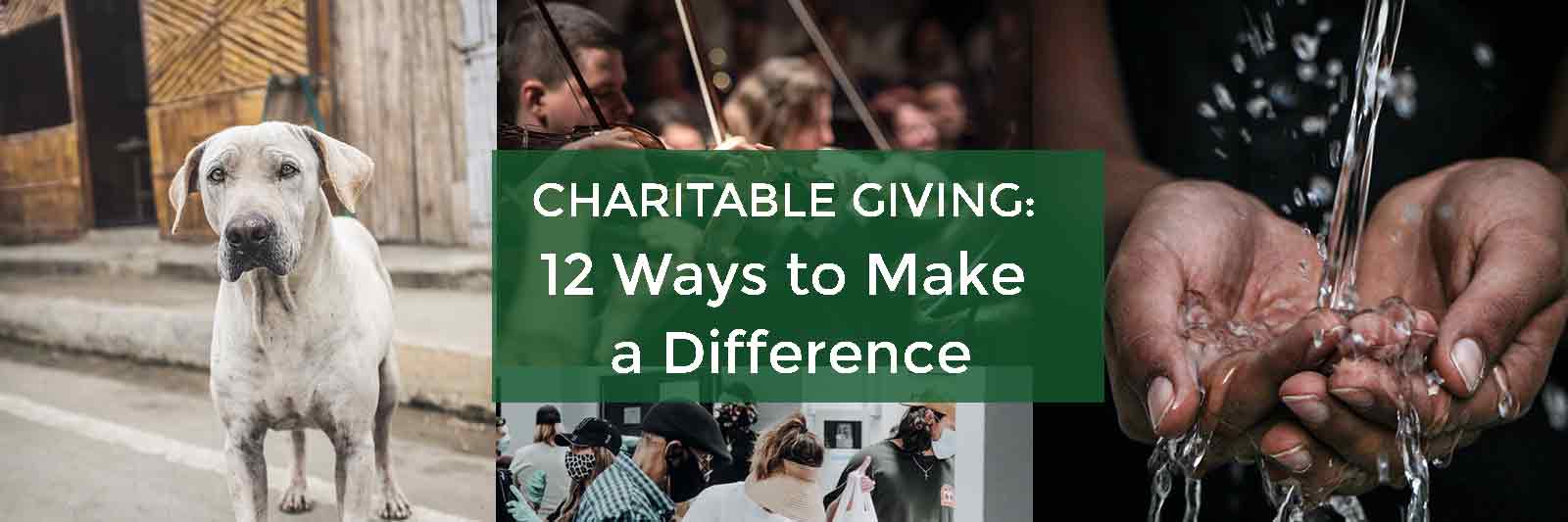 Charitable Giving: 12 Ways to Make a Difference