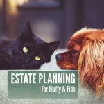 Estate Planning for Fluffy & Fido