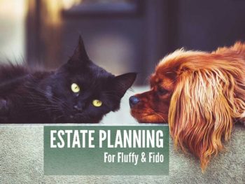 Estate Planning for Fluffy & Fido