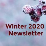 Cane & Boniface Winter Holiday Newsletter, Estate Planning