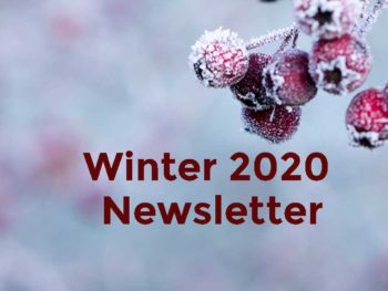 Cane & Boniface Winter Holiday Newsletter, Estate Planning